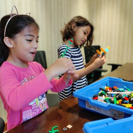 LEGO Kiddo Explorers WeDo